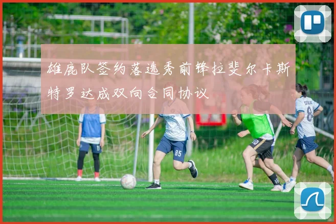 雄鹿队签约落选秀前锋拉斐尔卡斯特罗达成双向合同协议